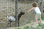 I bimbi a contatto con gli animali