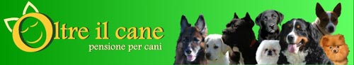 oltre il cane