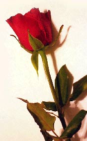 San Valentino da Rio Cavalli