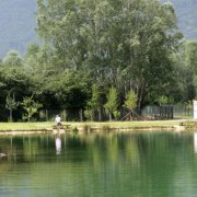estlago_7