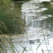 partic_3